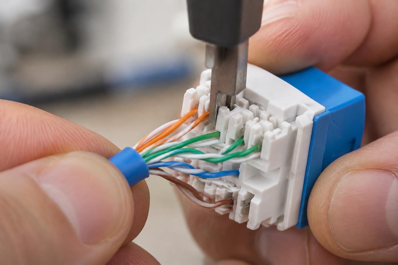 Detalle macro de una mano sosteniendo un conector de datos con los pares de cobre ya colocados.